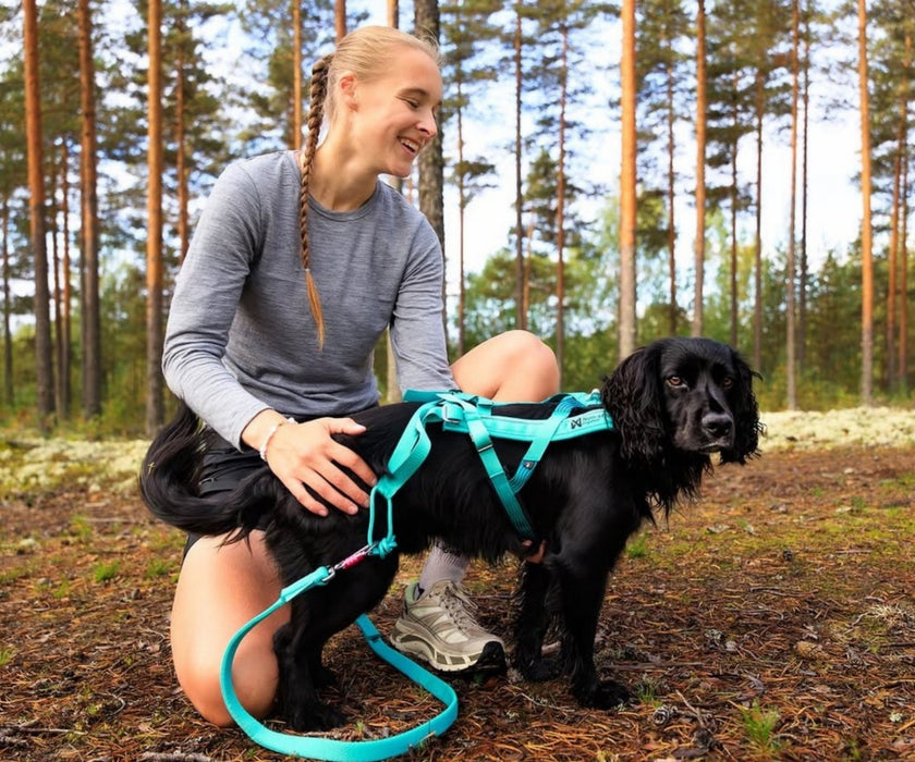 Non-Stop Dogwear Freemotion 5.0 Dog Harness - Freedom of Movement & Comfortable Support