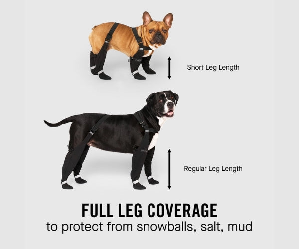 Canada Pooch Suspender Dog Boots - Secure Paw Protection With Extended Leg Coverage (four boots)