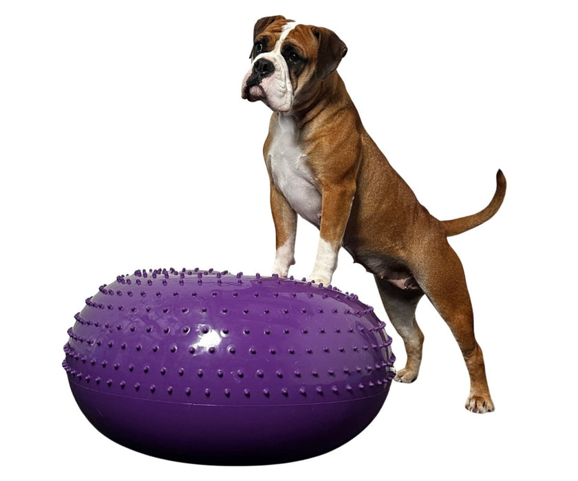 Flexiness Dog SensiDonut Sensory Balance Donut - Builds Stability & Coordination for Rehab & Conditioning