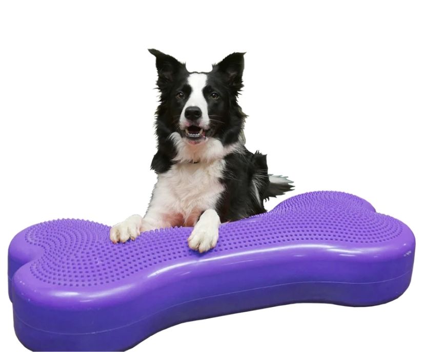 FitPaws Bone Giant - Blue, Turquoise, Violet