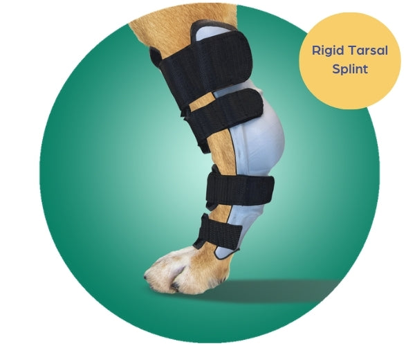 Scandi Orthopedic Hock and Tarsal Rear Splint Fully Customised - Grade 4 (rigid)
