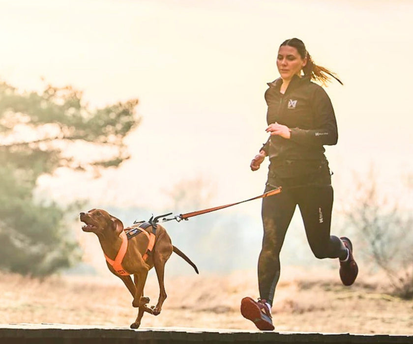 Non-Stop Dogwear CaniX Belt 2.0 - Hands-Free Support & Freedom of Movement for You & Your Dog