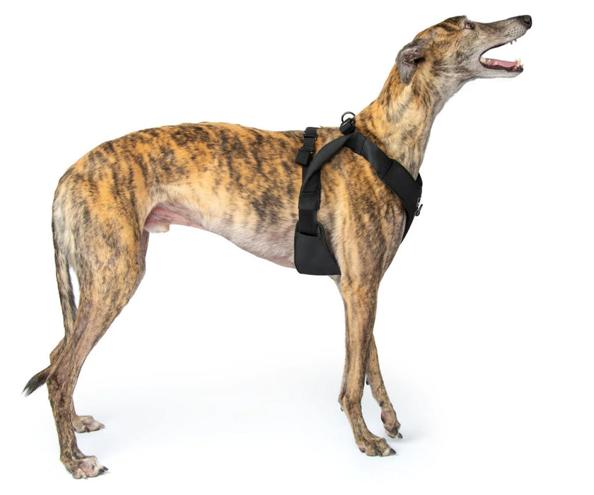 Sleepypod ClickIt Range Dog Car Safety Harness - Easy Lifting & Secure Travel for Your Dog