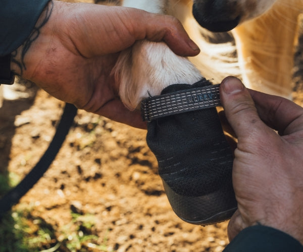 Ruffwear Ridgeline Lifestyle Dog Boots - Comfortable & Breathable for Everyday Adventures (two boots)