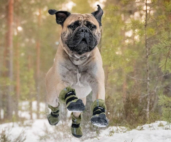 Reflective Tall Dog Boots - Fleece Reflective Boots, Keeps Your Dog Warm & Safe (four boots)