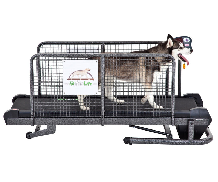 Fit Fur Life Medium Dog Treadmill - For Rehabilitation, Fitness & Conditioning for Dogs up to 90kg
