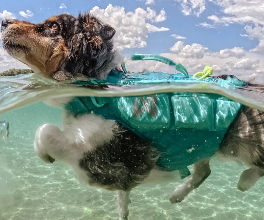 Non-Stop Dogwear Protector Dog Life Jacket - Innovative Side-Floatation Life Jacket with Breathable Material for Freedom of Movement