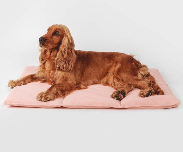 Flat Padded Nomad Dog Bed (by Qisu) - Perfect For Travelling, Home, the Park, Visiting Friends