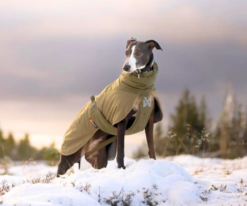 Non-Stop Dogwear Glacier Dog Wool Jacket 3.0 - Maximum Warmth & Comfort for Stiff Joints with 100% Merino Wool Lining