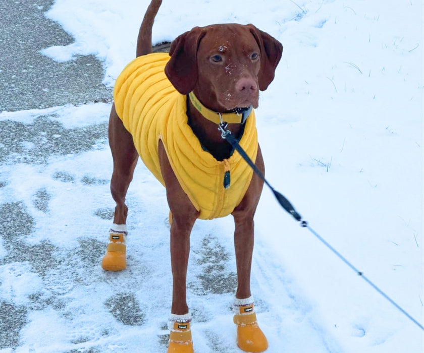 WagWear Dog Puffer Vest - Keep Your Dog Warm and Cosy, Easy to Zip On