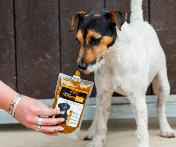 The Golden Paste Co. Turmeric Golden Paste for Dogs - Helps Ease Inflammation 100g