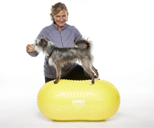 FitPaws Trax Peanut - 40cm (Yellow), 50cm (Red) or 60cm (Blue)