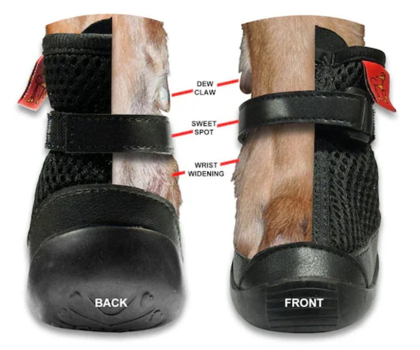 Hunnyboots - Set of Two Greyhound Boots V4 (a pair)