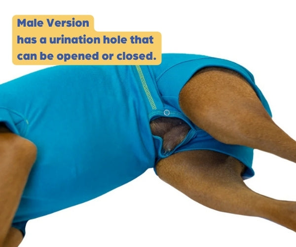 VetMedWear Recovery Suit for Dogs - Post-Surgery & Wound Protection Suit Made of 95% Organic Cotton