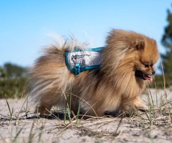 Non-Stop Dogwear Cooling Dog Vest - Long-Lasting Cooling to Keep Your Dog Comfortable on Warm Days