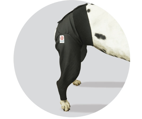 Double Rear Leg Dog Medical Protection Cover (made by Scandi Orthopedic) - Helps Your Dog Stay Comfortable During Recovery
