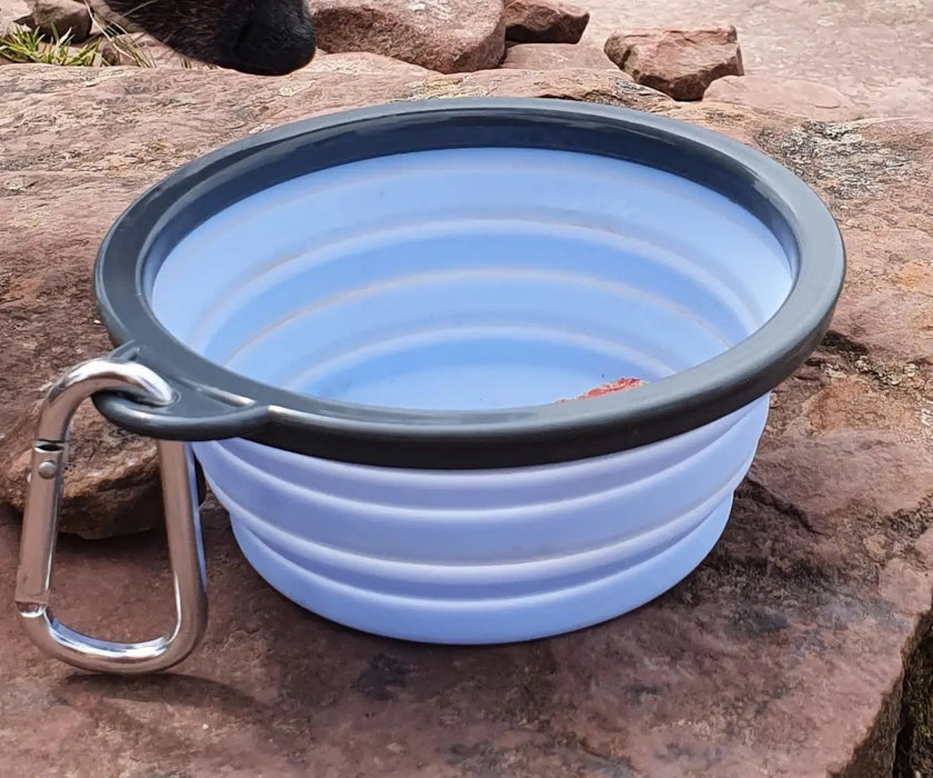 Henry Wag Dog Travel Bowl - Collapsible Dishwasher Safe Bowl with Clip 750ml