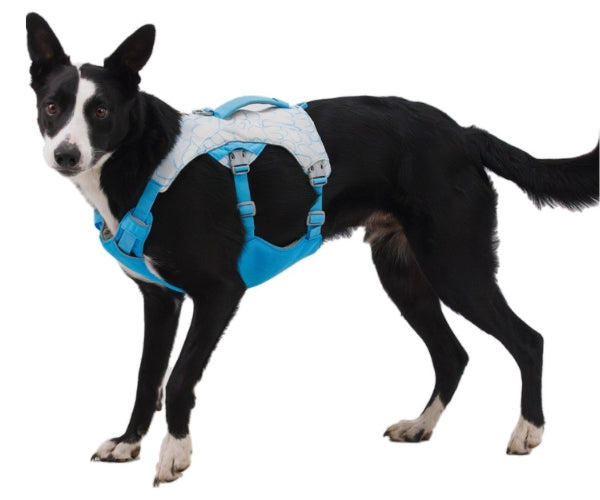 Ruffwear Swamp Cooler Dog Harness - All-In-One Cooling Solution for Hot Conditions