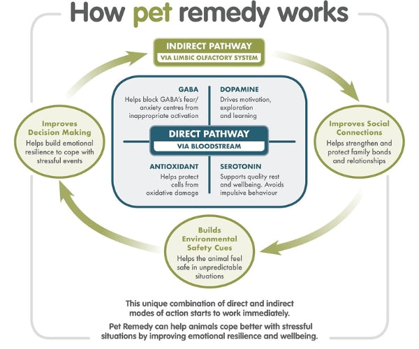 Pet Remedy Party Season Survival Kit for Dogs - Seasonal Anxiety Relief