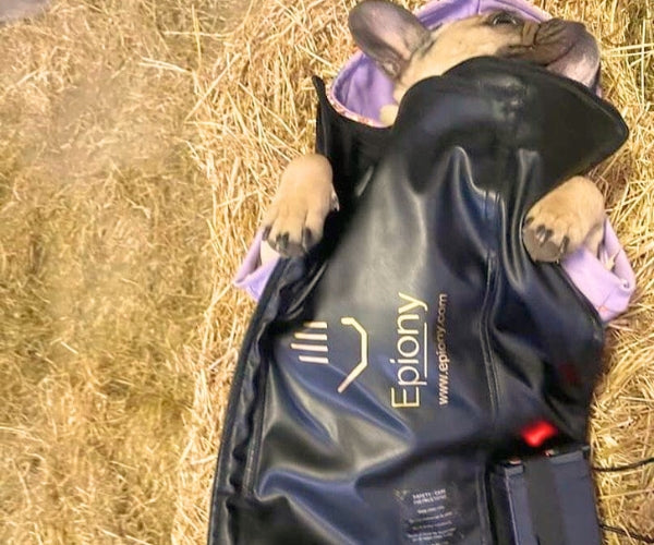 Epiony Heat Pad for Dogs - Targeted Warmth & Portable Heat Therapy