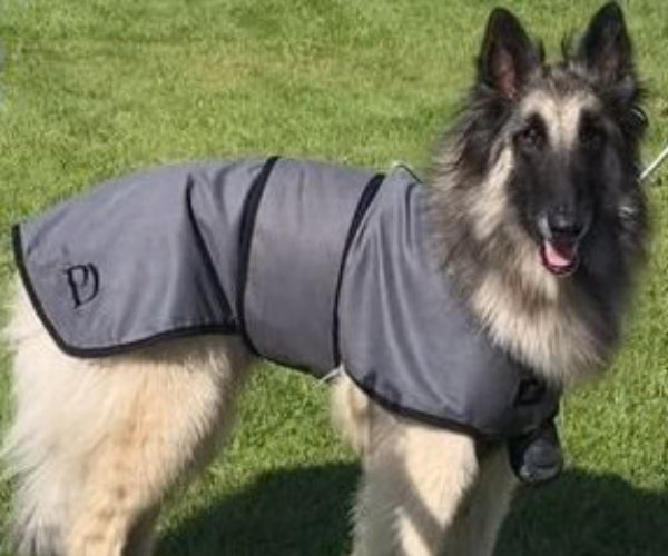 Paw Daw of London Luxury Cooling Coat for Dogs - Targeted Cooling & Sun Protection For Hot Weather