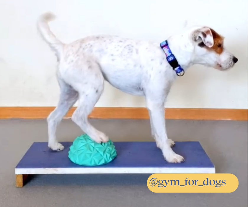 Flexiness Dog PawStackers - Non-Slip Diamond Grip Therapy Balls for Balance Training & Nerve Stimulation (pack of 4)