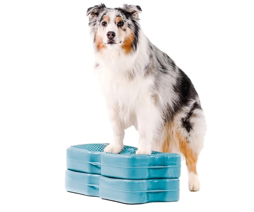 Blue-9 Dog Propel Air Platform - Inflatable Balance & Conditioning Platform for Strength, Stability & Rehabilitation Training