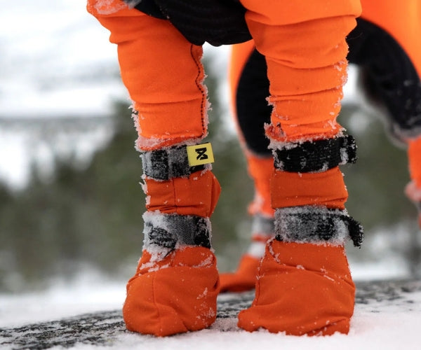 Non-Stop Dogwear Contact High Dog Boots - Protects Paws & Legs From Snow, Ice & Extreme Temperatures (four boots)