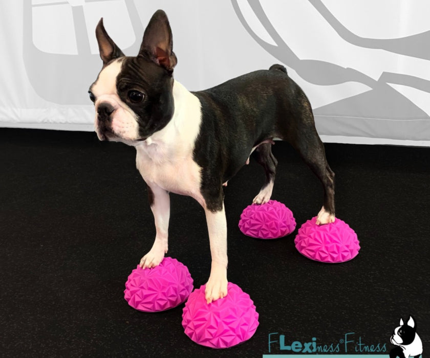 Flexiness Dog PawStackers - Non-Slip Diamond Grip Therapy Balls for Balance Training & Nerve Stimulation (pack of 4)