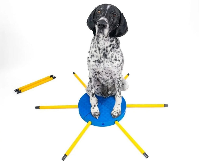 NEW! FitPaws FitKinect 360 Kit for Dogs - Blocks & Tubes for Building Your Dog's Strength, Balance & Coordination