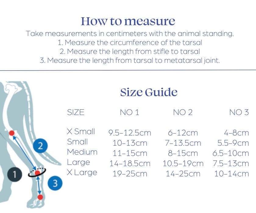 Scandi Orthopedic Dog Tarsal Rear Splint - Grade 2.5 (moderate)