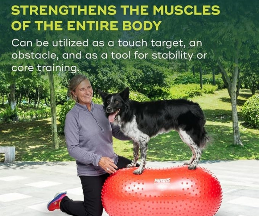 FitPaws Trax Peanut 40cm (Yellow), 50cm (Red) or 60cm (Blue)