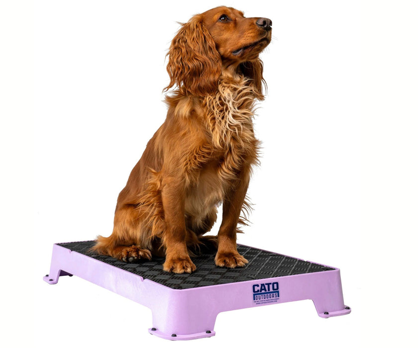 Cato Dog Outdoors Training Board - Durable, Non-Slip Training Platform for Stability & Confidence Building (41cm W x 61cm L x 9cm H)