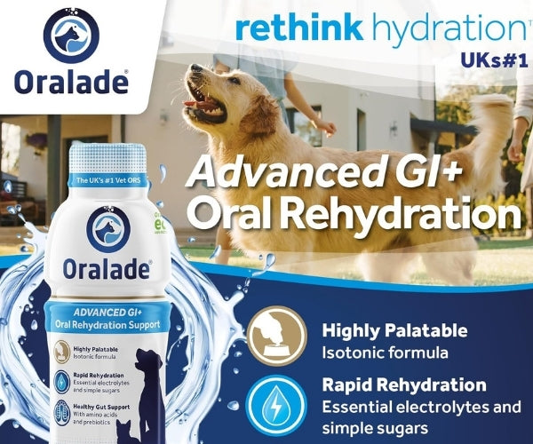 Oralade Advanced GI+ Oral Rehydration & GI Support Liquid for Dogs - Packs of 1 or 6 x 500ml