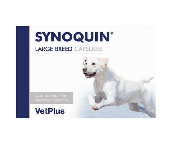 SYNOQUIN® Large Breed Joint Support Supplement for Dogs - 90 Chewable Tablets or Capsules