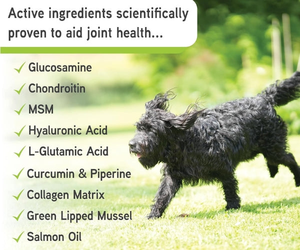 Lillidale ProJoint 4 Dogs - Maintains Free Movement of Joints 200g or 500g