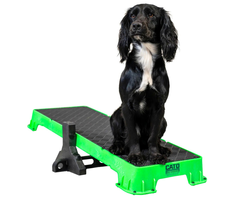 Cato Dog Outdoors XL Training Plank - Non-Slip Elevated Platform for Obedience Training, Balance Work & Confidence Building (31cm W x 92cm L x 9cm H)