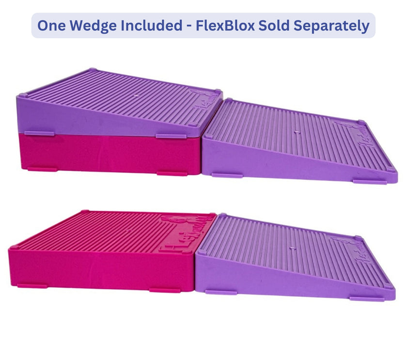 Flexiness Dog FlexBlox Wedge - Supports Balance, Strength & Coordination for Rehab & Fitness Training Purple 31 × 12 × 6cm
