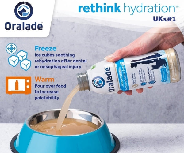 Oralade Advanced GI+ Oral Rehydration & GI Support Liquid for Dogs - Packs of 1 or 6 x 500ml