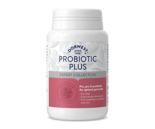 Dorwest Probiotic Plus for Dogs - Supports Optimal Gut Function - 100 or 200 Capsules