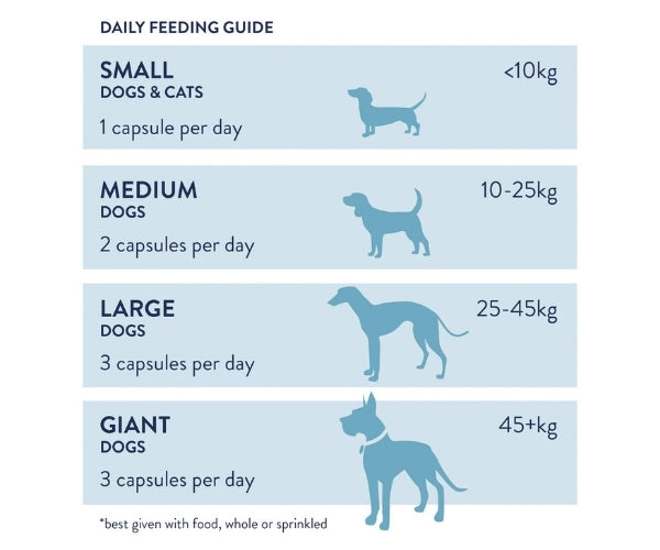 Dorwest Probiotic Plus for Dogs - Supports Optimal Gut Function - 100 or 200 Capsules