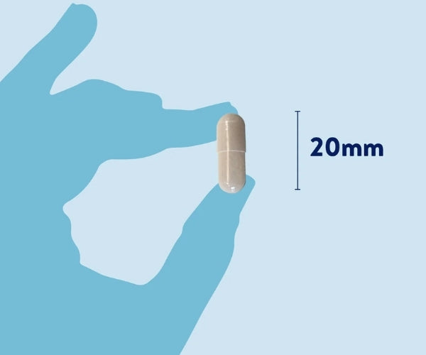 Dorwest Probiotic Plus for Dogs - Supports Optimal Gut Function - 100 or 200 Capsules