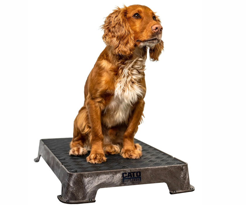 Cato Dog Outdoors Training Board - Durable, Non-Slip Training Platform for Stability & Confidence Building (41cm W x 61cm L x 9cm H)