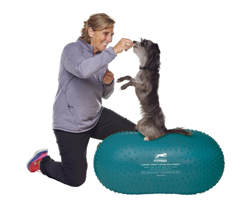 FitPaws Trax Peanut 40cm (Yellow), 50cm (Red) or 60cm (Blue)