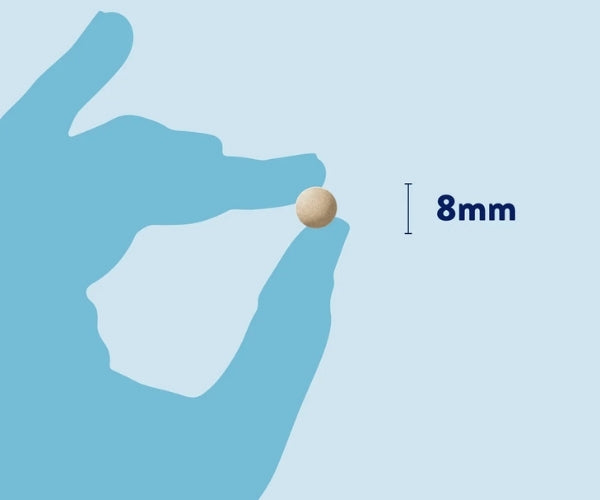 Dorwest Digestive Tablets for Dogs to Soothe Upset Stomachs - 100 or 200 Tablets