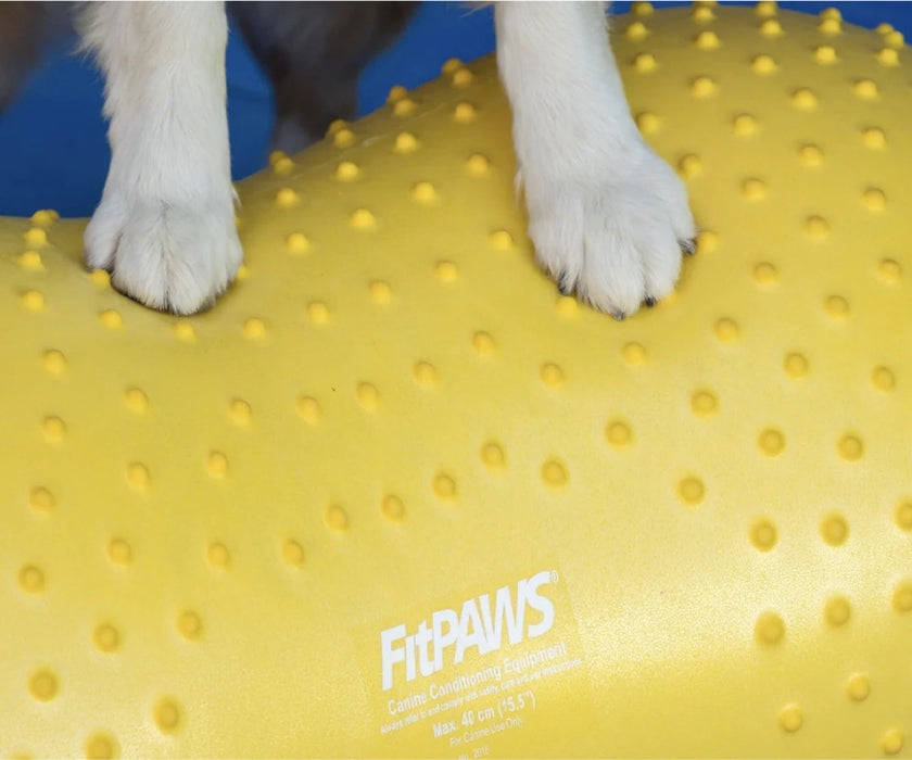 FitPaws Trax Peanut 40cm (Yellow), 50cm (Red) or 60cm (Blue)