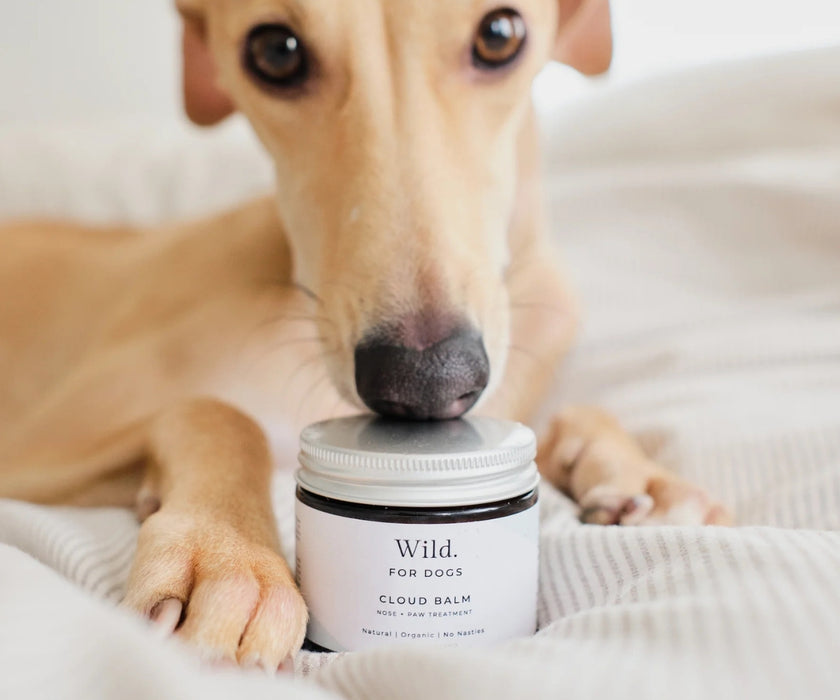 Wild for Dogs Cloud Dog Balm - Nose, Paw & Skin Balm for Natural & Organic Nourishment for Dry Dog Skin 60ml