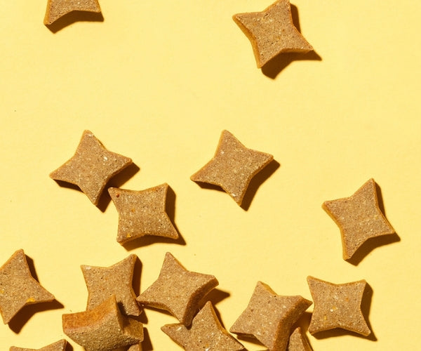 Pooch & Mutt Probiotic Treats for Dogs - Soothes Itchy Skin & Aids Glossy Coat 120g