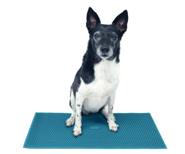 FitPaws K9 FitMat 24" x 12"