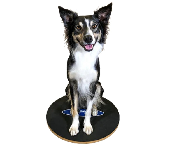 FitPAWS in UK - Dog Rehabilitation Equipment - Improve Strength, Motion & Mobility